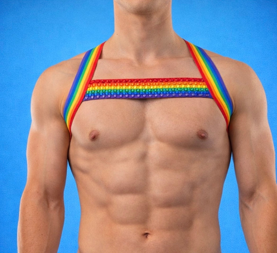 Rainbow elastic pride harness with stones