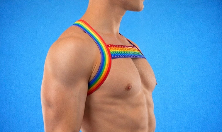 Rainbow elastic pride harness with stones