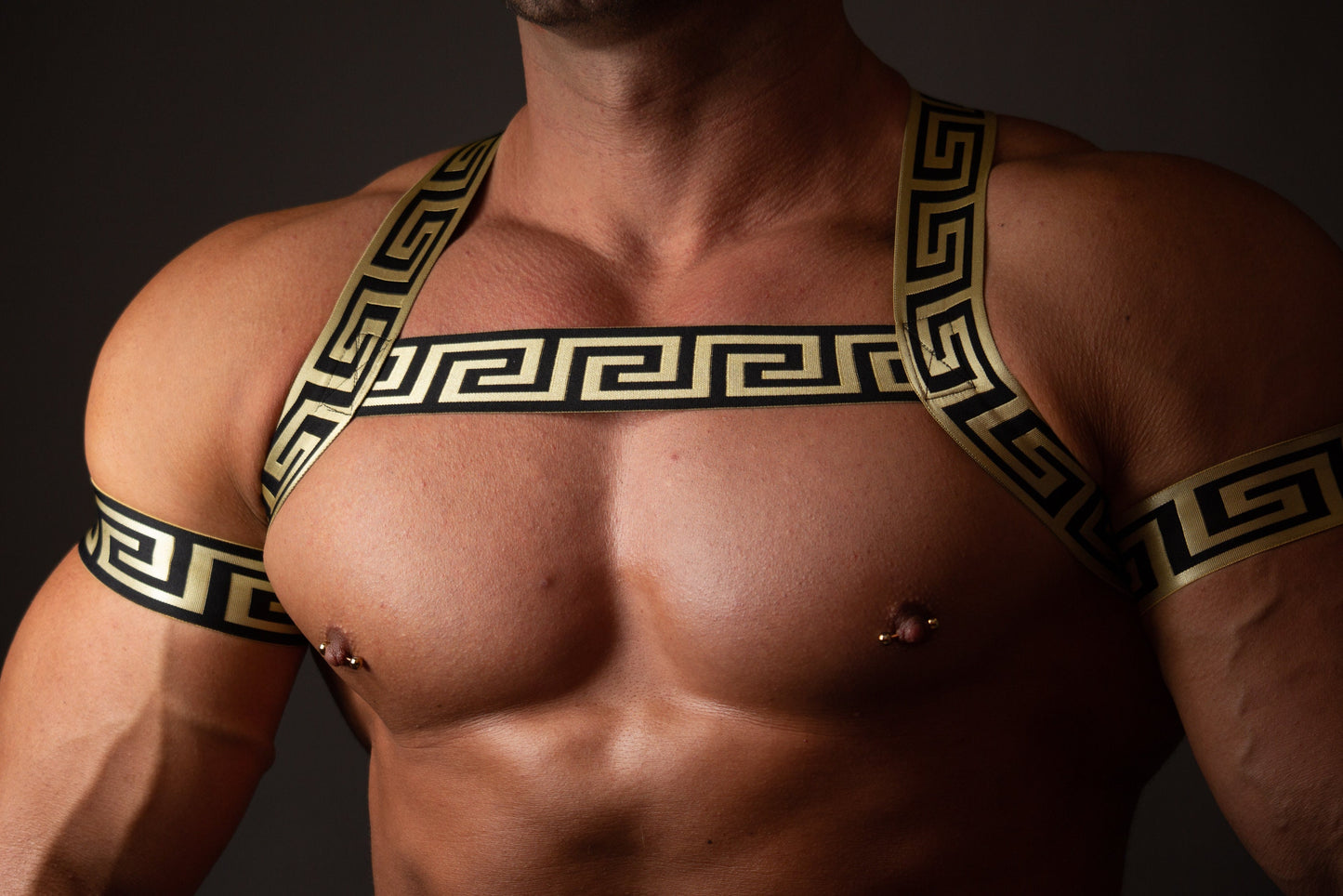 Greek Style Elastic Man Harness with Armbands