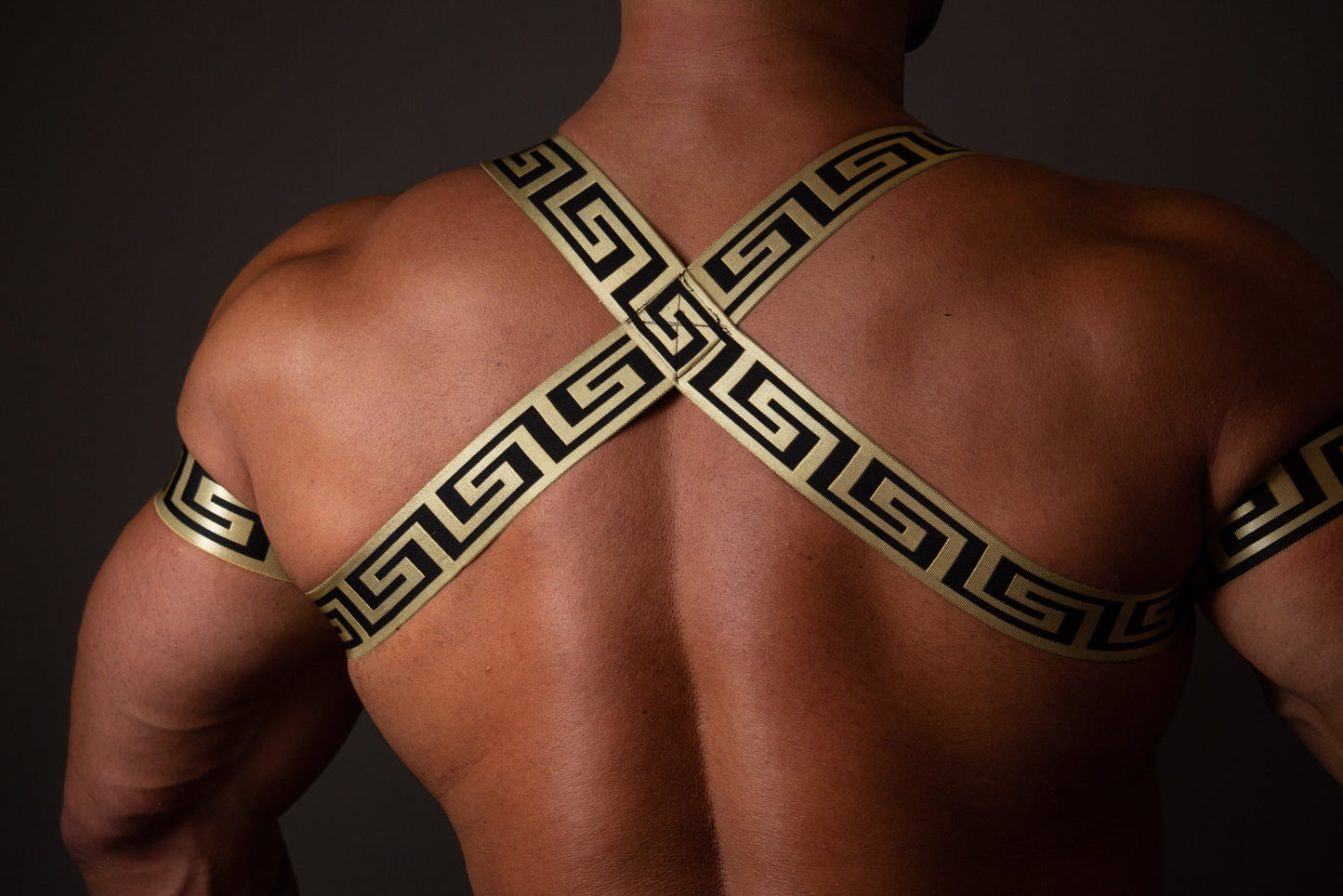 Greek Style Elastic Man Harness with Armbands