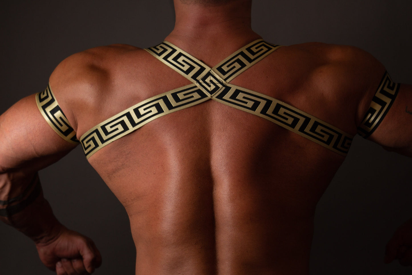 Greek Style Elastic Man Harness with Armbands