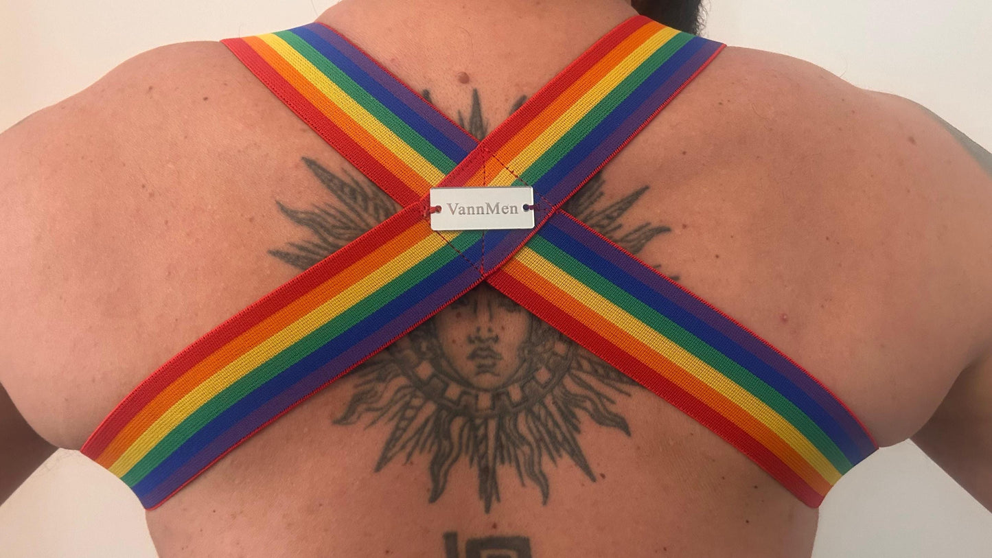 Rainbow elastic pride harness with stones